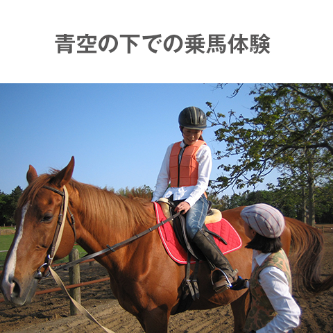 乗馬体験の写真